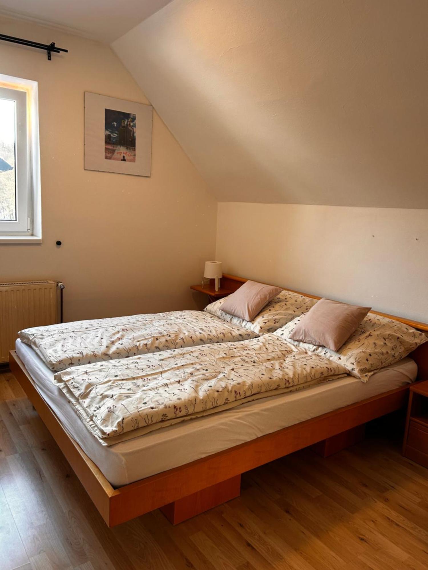 Apartman Mirka Dolni Morava Dolní Morava Exterior foto