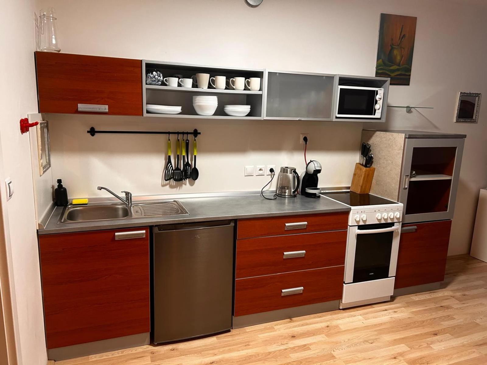 Apartman Mirka Dolni Morava Dolní Morava Exterior foto